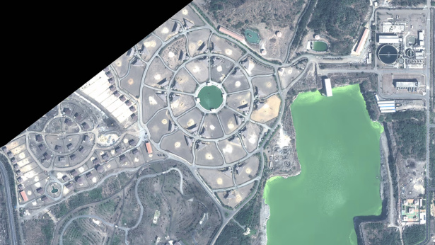 Vantara: The largest zoo in the world