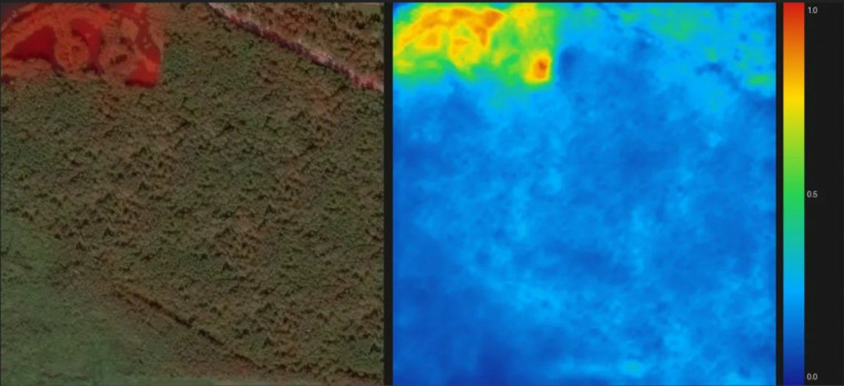 Ergebnis eines Detektors für KI-Manipulationen: links der Bildausschnitt, rechts eine Heatmap. Auffällig ist nur ein Bereich am oberen Rand, nicht der kopierte Wald.