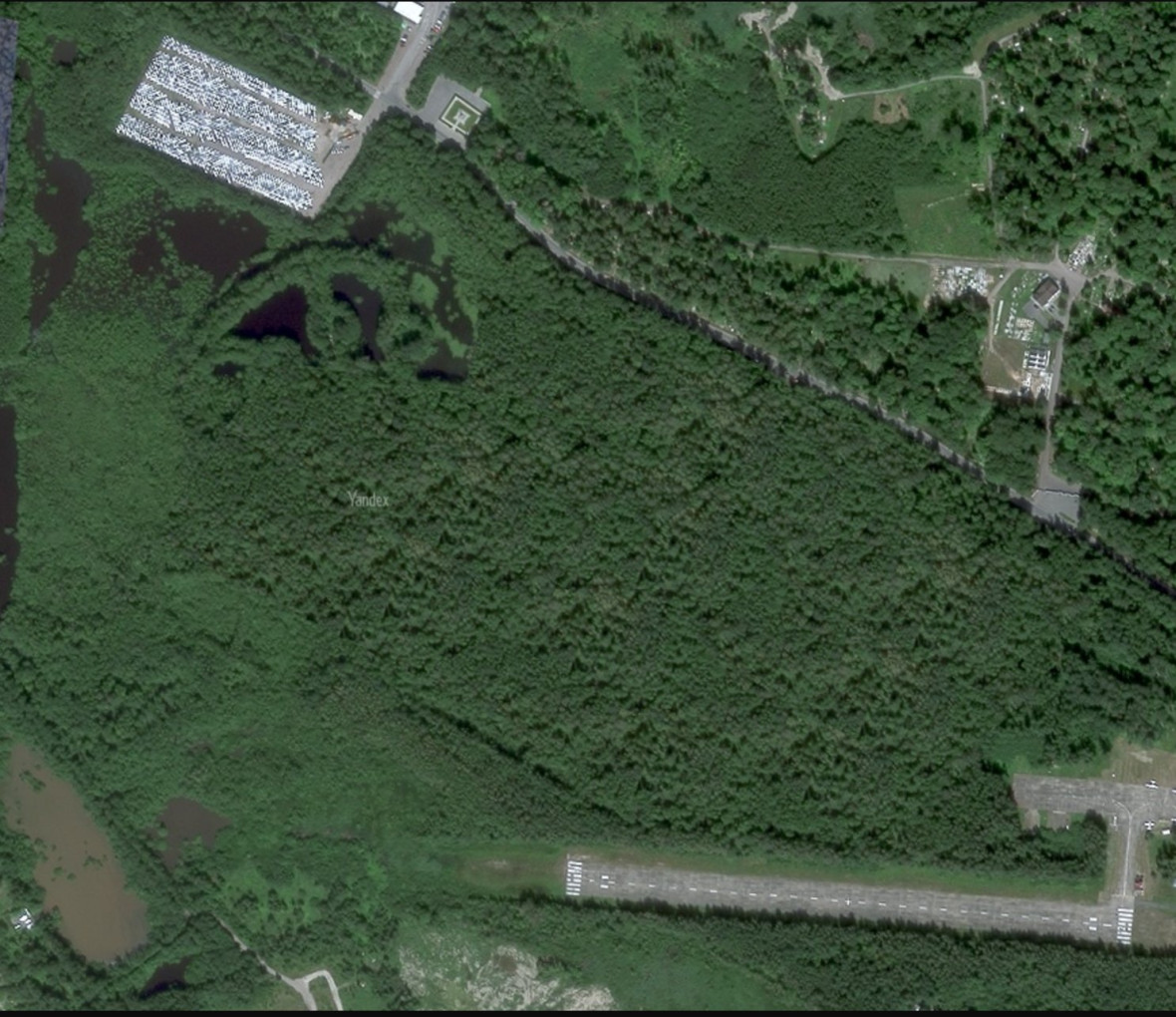 Satellitenbild von Yandex: ein scheinbar unberührtes Waldstück bei Kronstadt mit Wegen und einzelnen Gebäuden am Rand.
