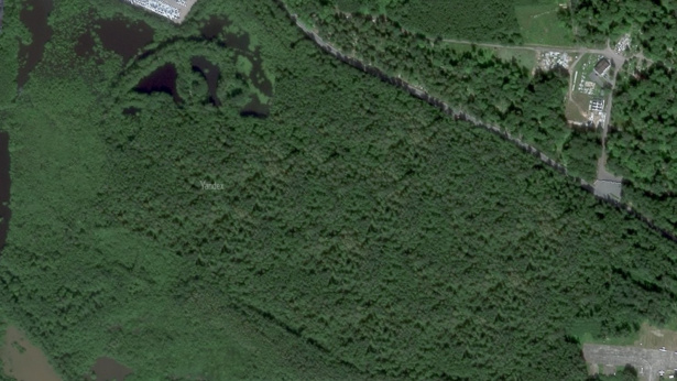 Satellitenbild von Yandex: ein scheinbar unberührtes Waldstück bei Kronstadt mit Wegen und einzelnen Gebäuden am Rand.