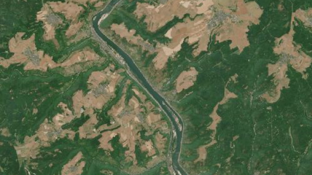 Record low on the Rhine